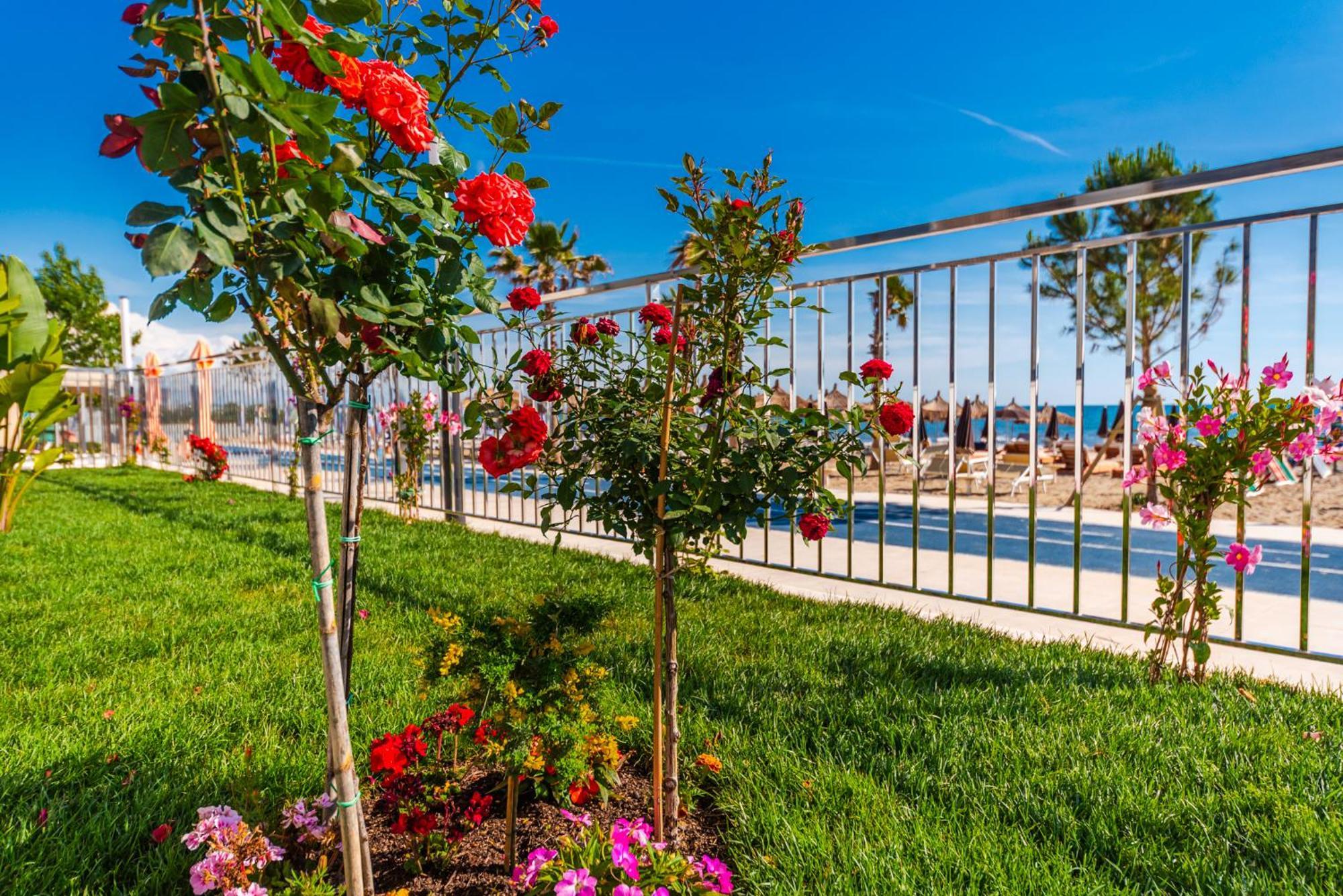 Sea View Apartments Eldo Durres Luaran gambar